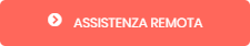 assistenza remota